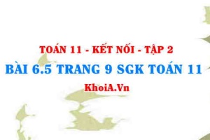 Bài 6.5 trang 9 Toán 11 Kết nối tri thức Tập 2
